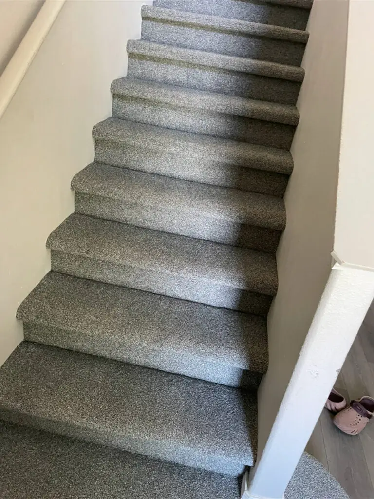 Interior staircase covered with a uniform grey plush residential carpet.